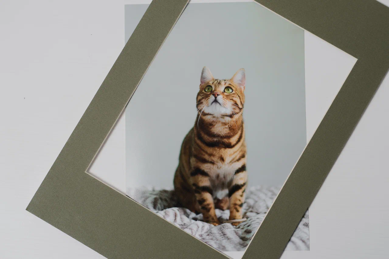 Фото в стиле INSTAX